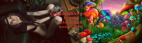 гашик Пестово
