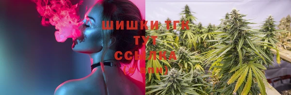 прущая мука Бородино