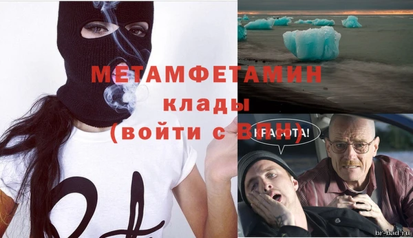 гашик Пестово